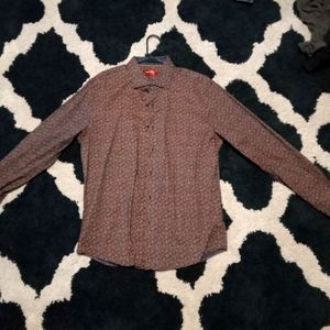 Large Brownish purple with blue inside